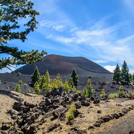 Apartament Rosamar Luxury